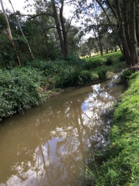 Picture for category Swimming Hole