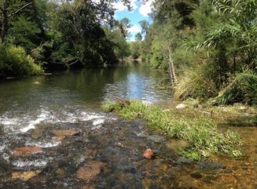 Picture for category Dam and River Fishing